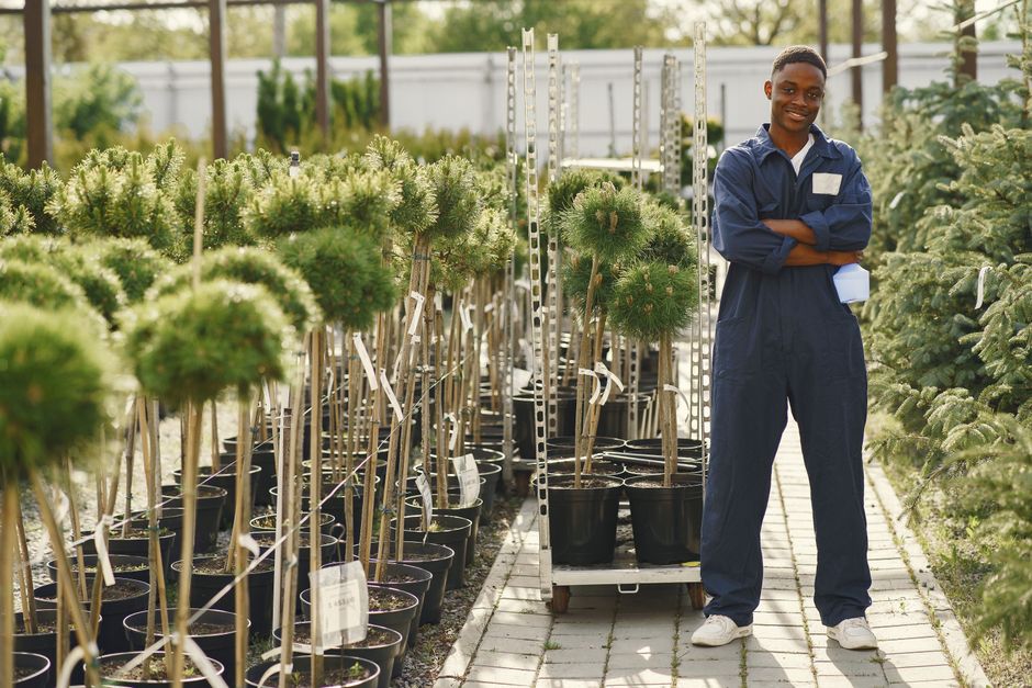 Garden centres paid search: intent, offers, speed