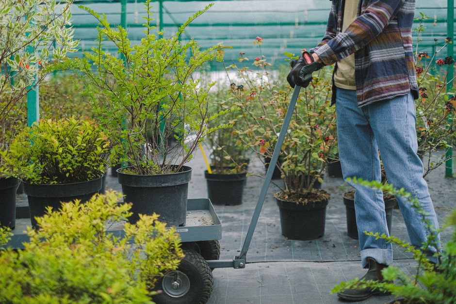 Google Ads cost and quality ranges for Garden Centres in Singapore