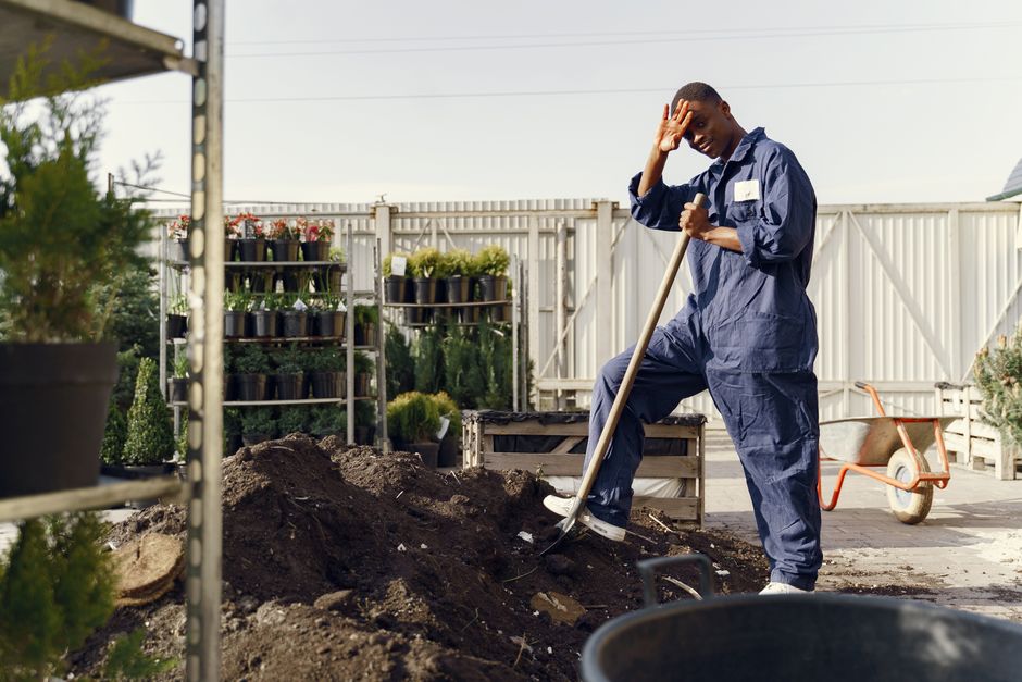 Google Ads cost ranges for US landscaping and gardening companies
