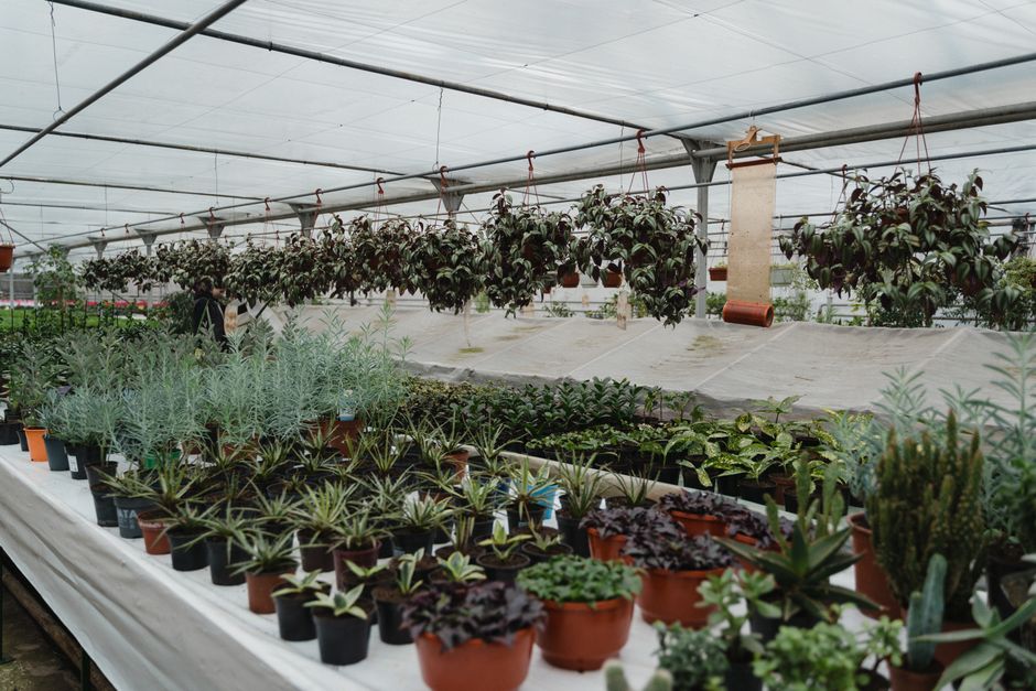 Google Ads that book jobs for AU garden centre companies