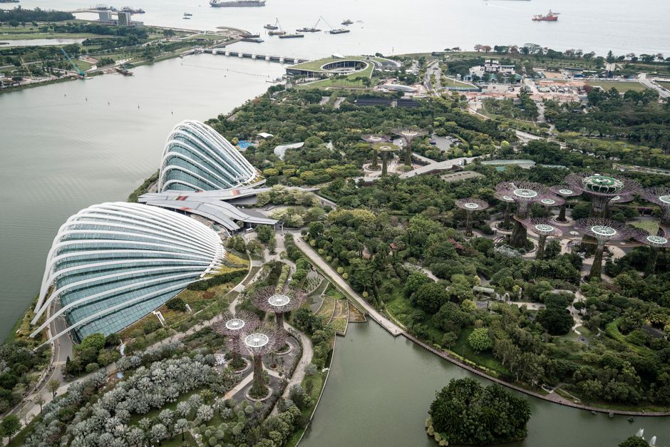 How landscaping businesses in Singapore set up search ads th