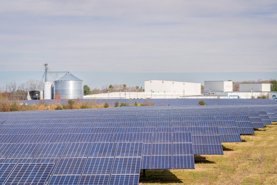 Solar landing pages that actually book surveys: a guide for Australian installers