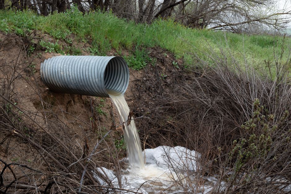 How to grow your septic and sewer business through organic search in Australia