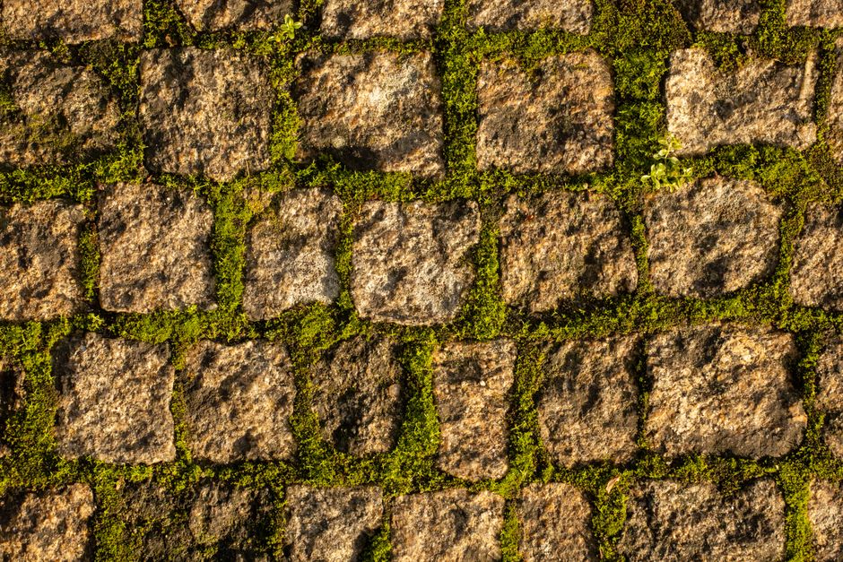 How to build a paid search system for paving and driveway leads in Australia