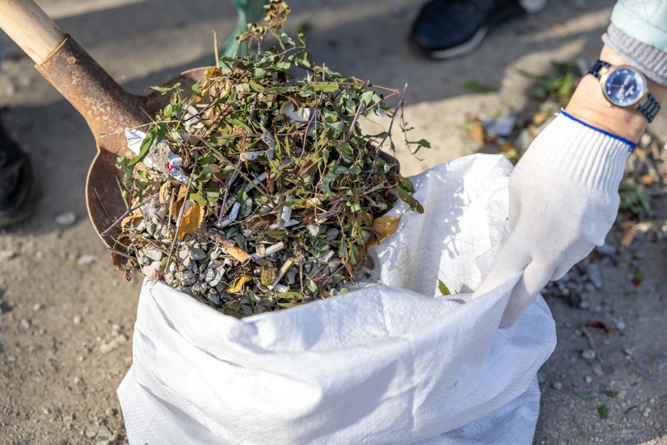 Real Google Ads scenarios for Junk Removal businesses in the US