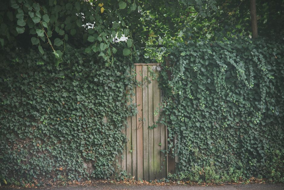 Real Google Ads scenarios for UK landscapers and gardeners