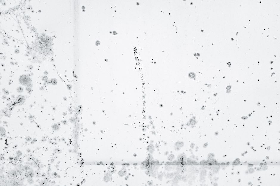 Real Google Ads scenarios for UK mould remediation firms