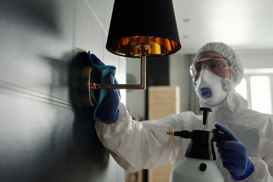 How Singapore mold remediation firms get booked inspections from Google Ads