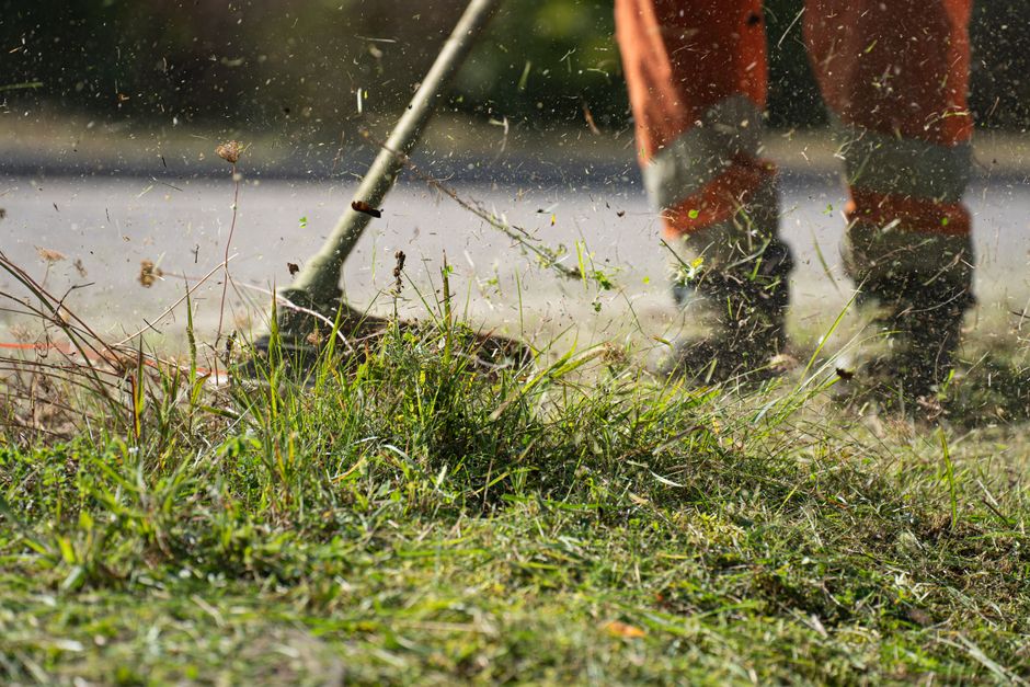 Tracking mistakes that hide your real lawn care ROI in Singapore