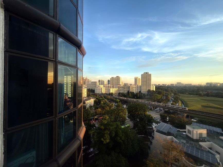 Understanding search demand for Window Cleaning services in Singapore