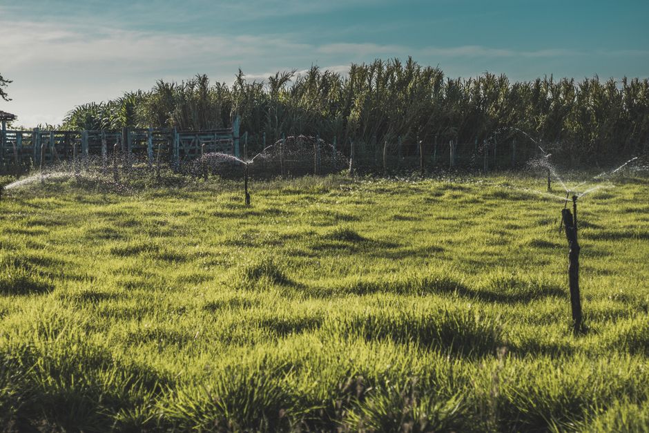 Why your irrigation and sprinkler repair lead reports are lying to you