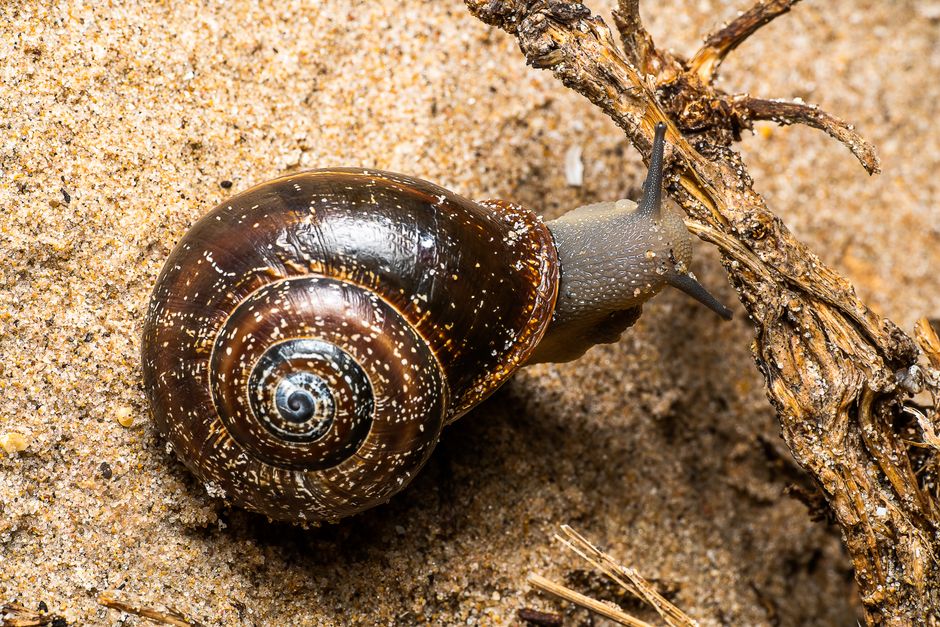 Why slow landing pages waste paid clicks in Singapore