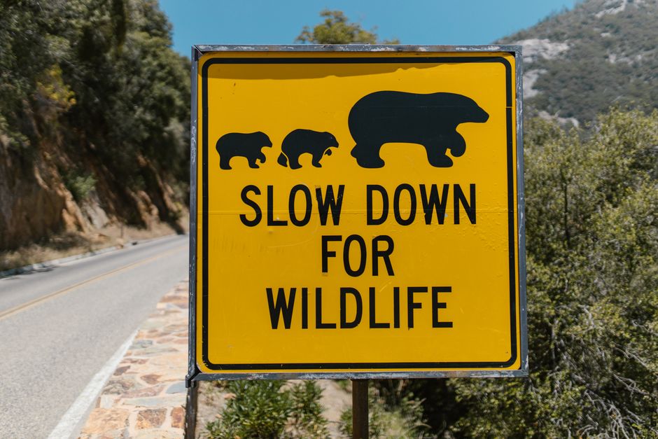 Why slow landing pages waste paid clicks in the UK