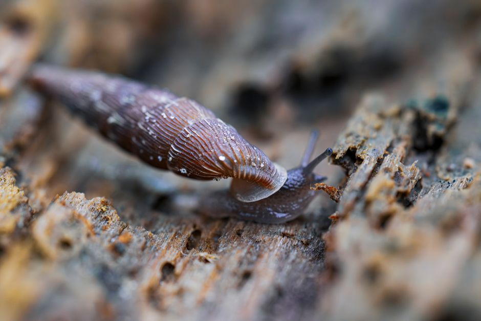 Why slow landing pages waste paid clicks in the UK